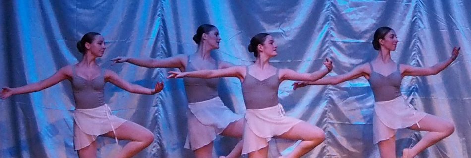 Ballettfreunde Ahrensburg Märchengala 2025 | Foto: Astrid Demand-Schnitzer